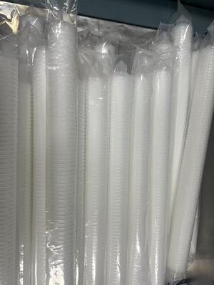 PTFE Membrane Filter Cartridge with Hydrophobic and Hydrophilic PTFE Membrane for Corrosion Resistant Filtration