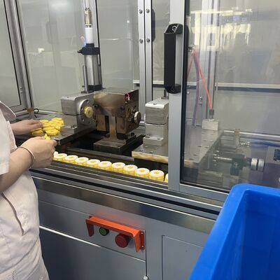 Mehrvolumiger Kapselfilter der N/S-Serie mit kleinem Durchfluss, NPT-Swagelock-Anschluss und anpassbarer Innenpatrone